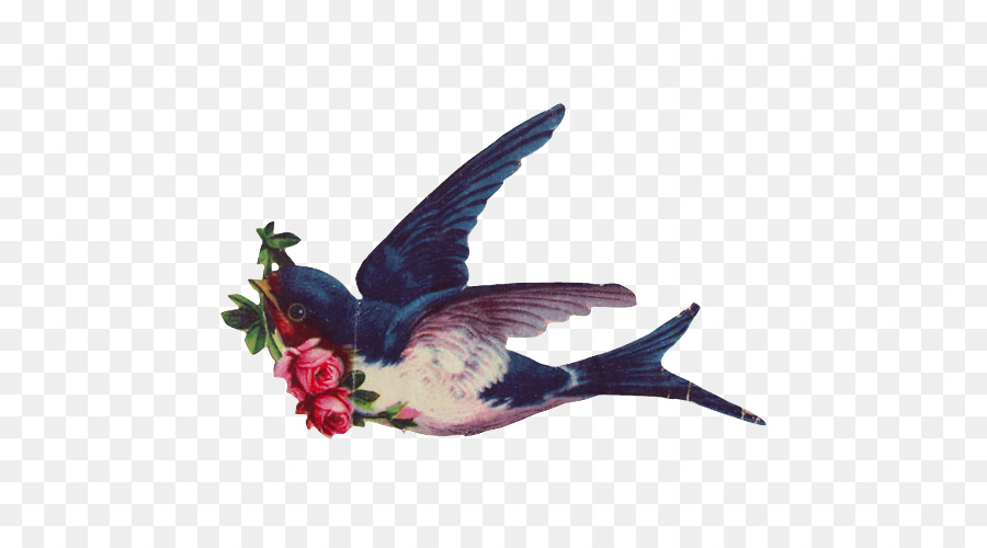 99 Free Download Tattoo Swallow Png HD Tattoo