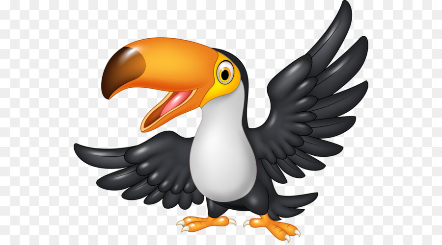 Gambar Burung  Enggang  Vector Gambar Burung  Wallpaper