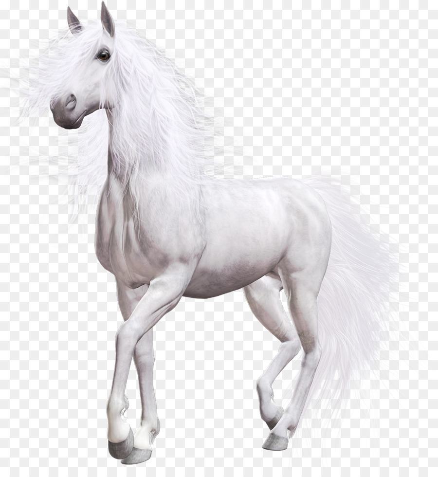 American Paint Horse Pony Portable Network Graphics White Clip Art