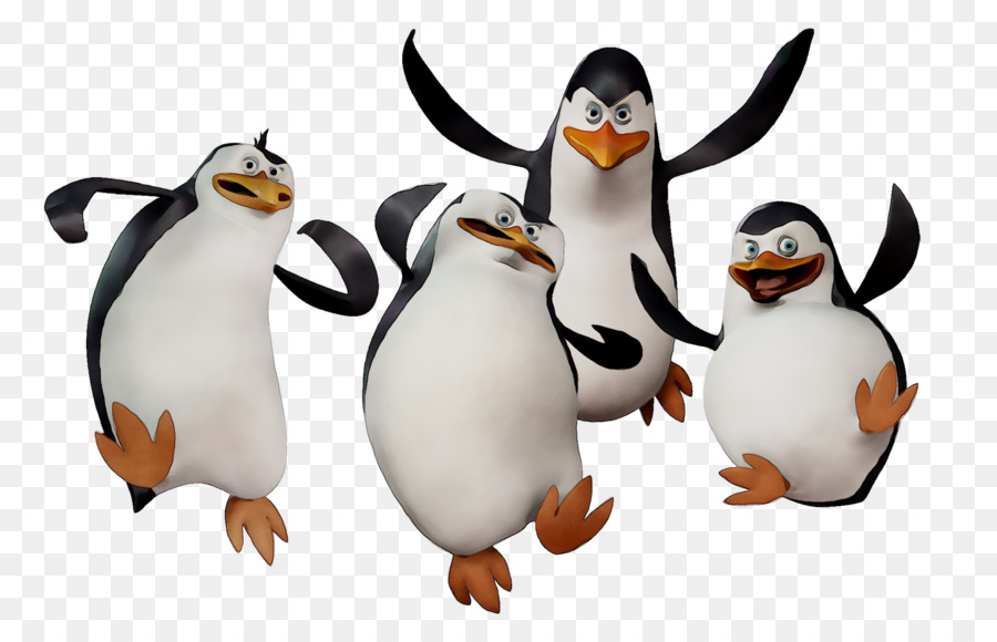 King Penguin Image Madagascar Desktop Wallpaper Png Download