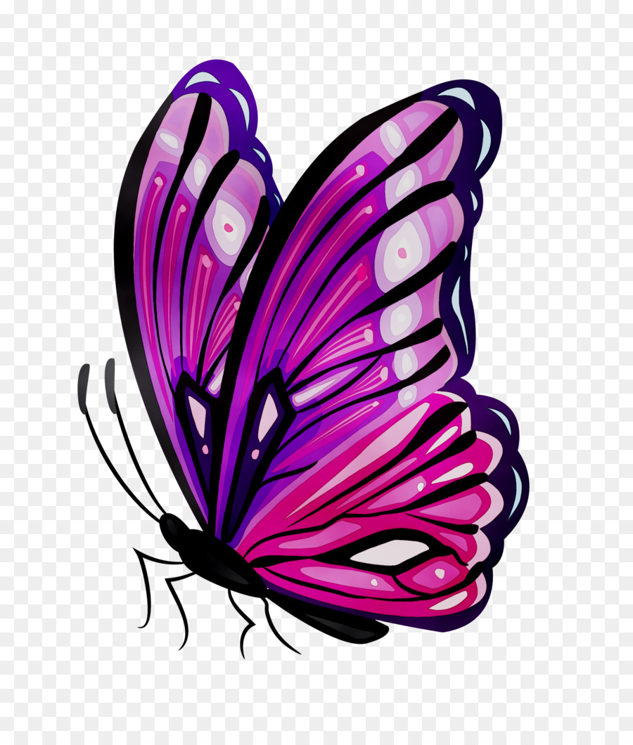 630+ Free Download Butterfly Tattoo Png HD Tattoo Photos