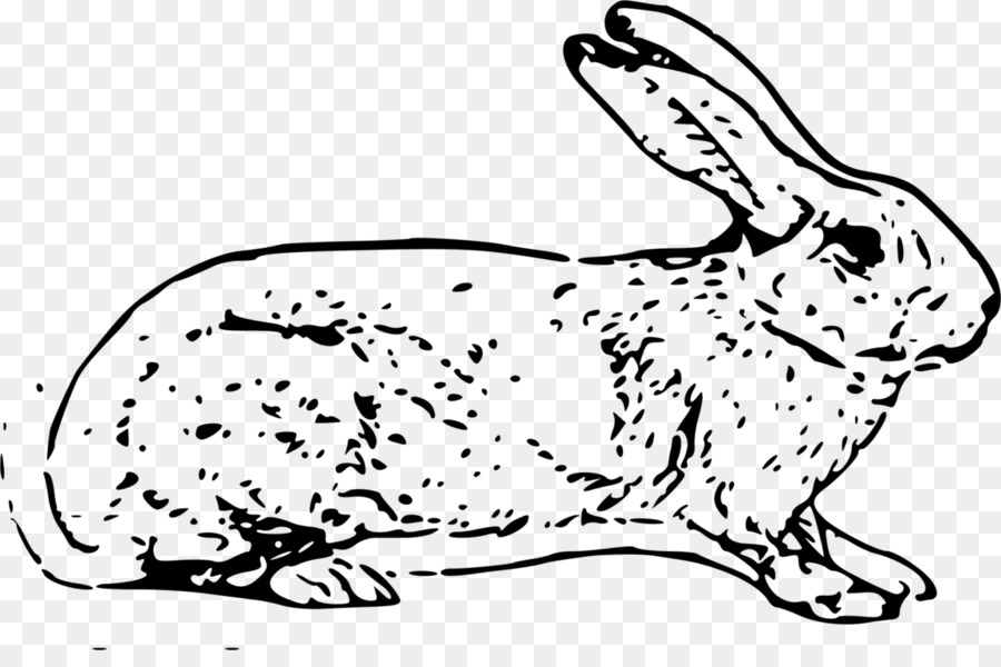 zoology coloring download book Rabbit rabbit Clip Domestic rabbit Hare art rabbit